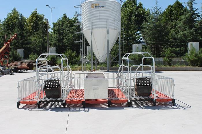 Hot Sell Hot Galvanized Pig Sow Farrowing Crates Stall